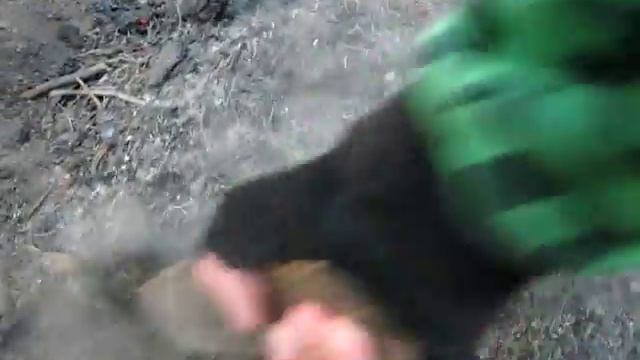 Тушим лесной пожар водой и стенкой от мангала смотреть онлайн