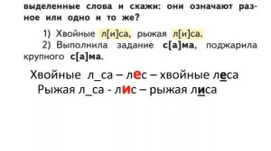 "Чередование звуков в корнях слов, которое мы не  видим  на  письме"