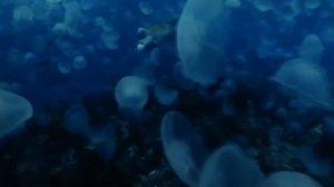 Видос аля Нешионал географикс (national Geographics)