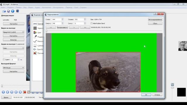 Как сделать кадрирование на видео / Убрать лишние объекты из кадра в Avidemux смотреть онлайн