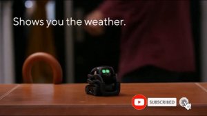 Vector Robot by Anki  Your Voice Controlled, AI Robotic Companion,with Amazon Alexa BuiltIn  REVIEW