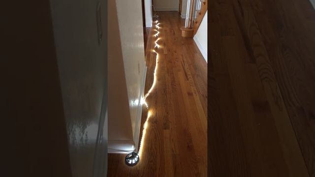 Video review of the Commercial Electric LED White Color Changing Tape Light with Remote смотреть онлайн