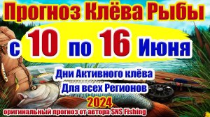Прогноз клева рыбы на неделю с 10 по 16 Июня Прогноз клева рыбы Лунный Календарь рыбака