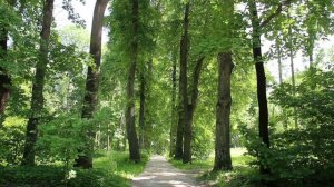 Спасское-Лутовиново