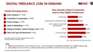 Freelancer The Now Normal