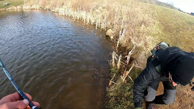 Ловля форели на силиконовые приманки и микро колебалки. Колеблющиеся блёсны Dohna. Nørreris Put&Tak смотреть онлайн