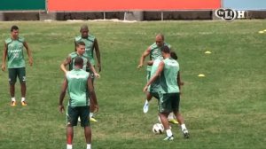 Leandro Euzébio dá ovinho em Bob durante o treino