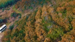 Волшебная страна Абхазия с ВЫСОТЫ Птичего Полёта.Абхазия Январь 2023