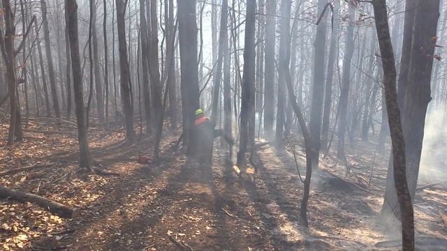 15.11.2019 Тушение лесного пожара в районе с. Перевальное Симферопольского района