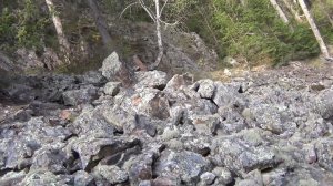 Девственная Тайга - Каменная осыпь Здесь Греется медведь после Спячки и полно змей Рыбалка Охота