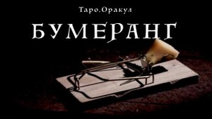 Таро. Оракул. Бумеранг. Мышеловка закрылась.