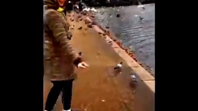 One day in Hyde Park London - Londra Hyde Park’ta Bir gün смотреть онлайн