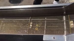 Обжарка сухарей и гренок во фритюре, фритюрницы погружного действия WP Riehle DLA SC