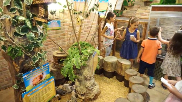 День рождения Алисы - 8 лет смотреть онлайн