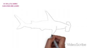 How to Draw a Hammerhead shark  / Как нарисовать Акулу-молот