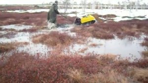 Мотобуксировщик по болотам.