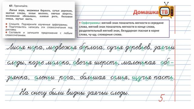 Упражнение 67 страница 38 - Русский язык (Канакина, Горецкий) - 2 класс 2 часть