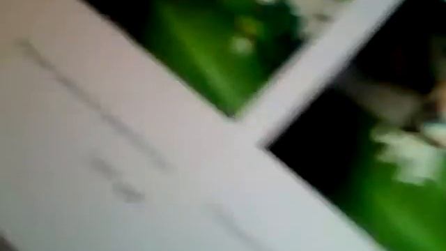 Как купить пэта смотреть онлайн