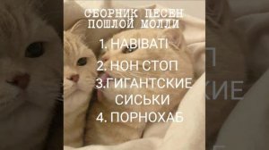 сборник песен пошлой молли - speed up