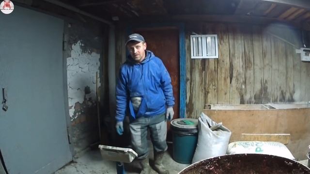 КОНКУРС!!!! Вес чистопородного дюрка в 6,5 месяцев? Вес поросят в 40 д.ландрас/дюрок 75 д пьетрен смотреть онлайн