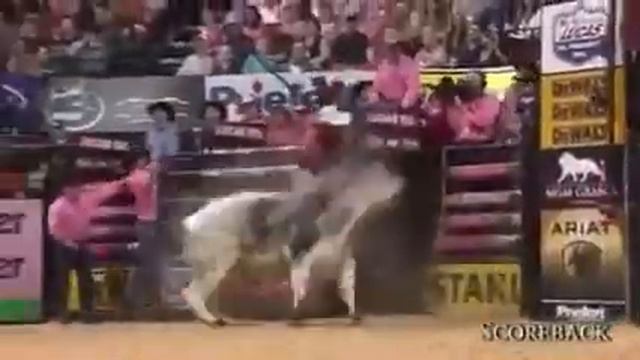 Да не может бык так прыгать смотреть онлайн