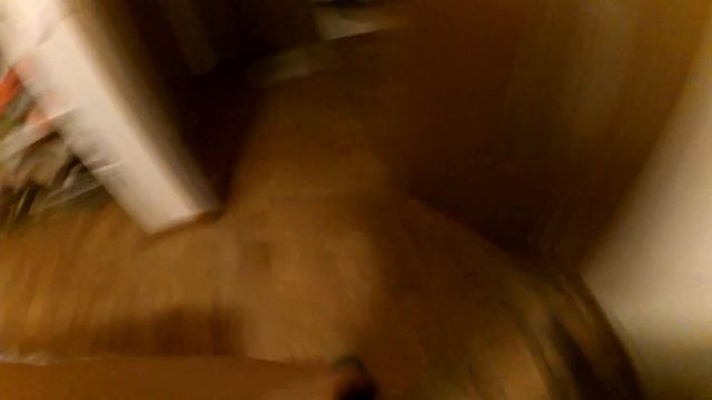 VLOG #3: показал квартиру и как Алена разделась смотреть онлайн