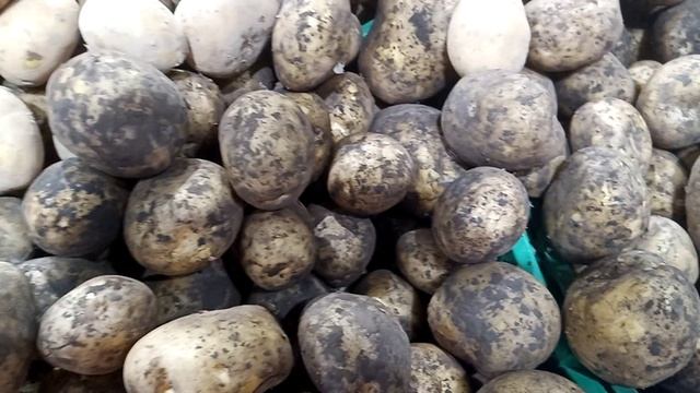 Выгодная цена на картофель