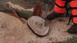 ECHO Chainsaw CS-510 Product Knowledge English