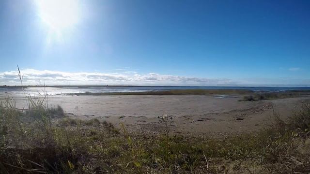 TATTOO STUDIO 28, море и утки)) life смотреть онлайн