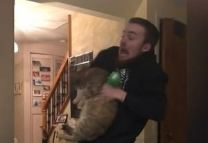 Смешные приколы #20