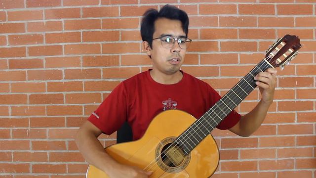 Quattordici sonatine facili per chitarra No 2 - Ferdinand Carulli. Juan Ignacio Flores (guitar) смотреть онлайн