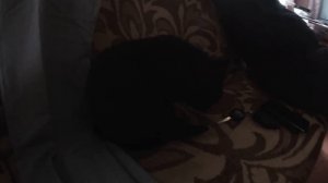 ДЯДЯ ВИТЯ сделал ДОБРОЕ ДЕЛО 😲 // УБРАЛСЯ ВО ДВОРЕ // ДНЕВНИК БОМЖА