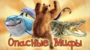 Шокирующие МИФЫ о нападениях ДИКИХ ЗВЕРЕЙ!