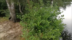 разнообразие озер