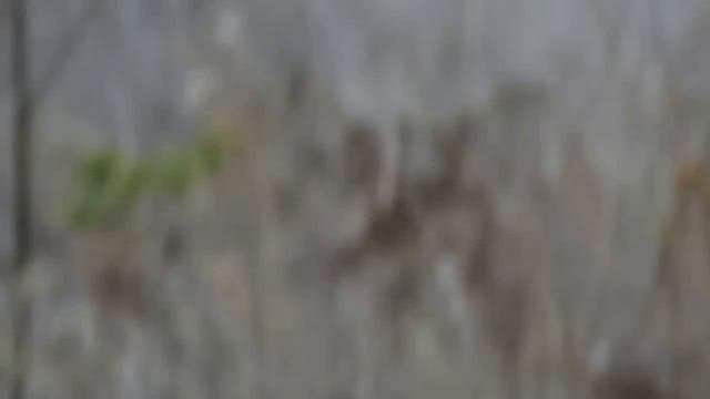 староигнатьевка