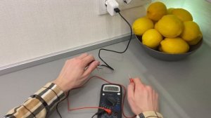 МЫ ЗАРЯДИЛИ ТЕЛЕФОН ОТ ЛИМОНОВ!