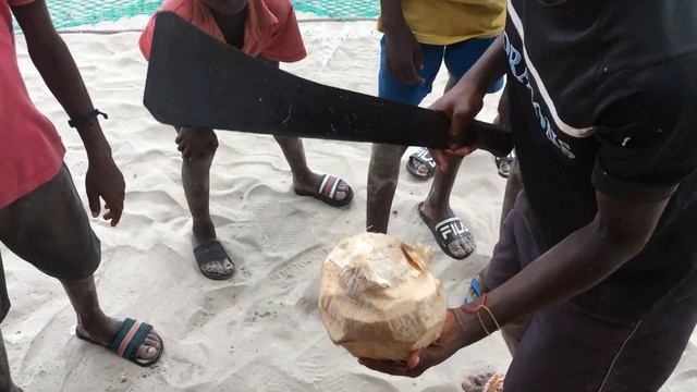 дети берега слоновой кости смотреть онлайн