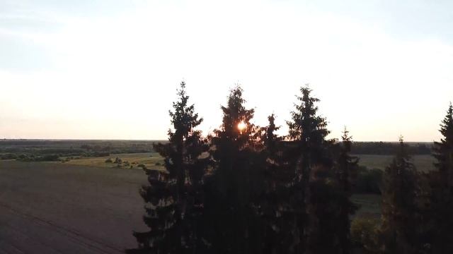 По дороге в деревню Москва-Устюжна виды с воздуха на DJI Mavic. Вологодская область. смотреть онлайн