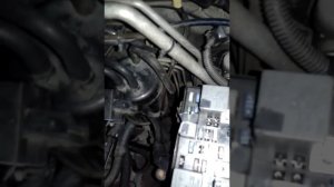 Kia spectra - Check fuis box.