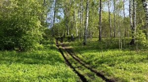 Питбайк Kayo 125 KRZ на полуавтомате для девушки