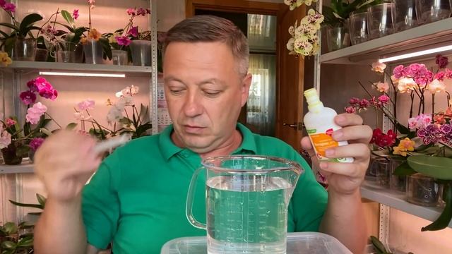 КОРНЕВАЯ СТИМУЛЯЦИЯ ОРХИДЕЙ как замачивать орхидеи ЭНЕРГЕТИЧЕСКИМ стимулятором