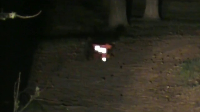 Социальная реклама "Не пугайтесь собаки Баскервилей!" смотреть онлайн