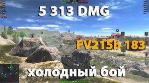 Выкатил бабаху в холодный бой | wot blitz FV215b 183