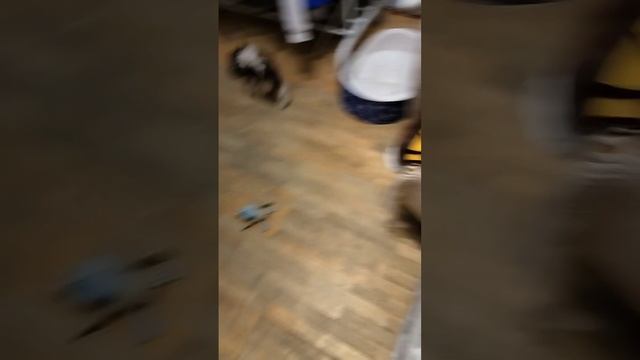 Спасение Черной Вдовы от страшного Алекса смотреть онлайн