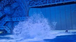 Выступление Касаток Москвариум????