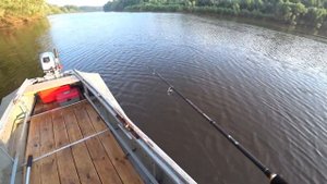 Рыбалка на судака | Сузунский район | Заломная | Не город TV