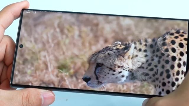 Crazy 200MP PHONE Deserves Your Attention * Samsung S23 Ultra * смотреть онлайн