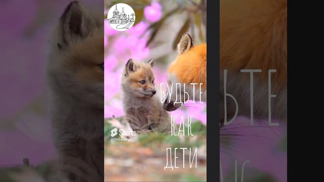 КТО ПЕРВЫЙ СКАЖЕТ _ПРОСТИ_, ... Творческая студия Чихачево ютуб канал отец Иоанникий #shorts