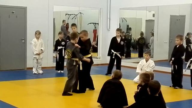 Аттестация на желтый юношеский пояс по Хапкидо смотреть онлайн