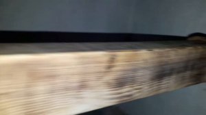 птичий клещ (профилактика)